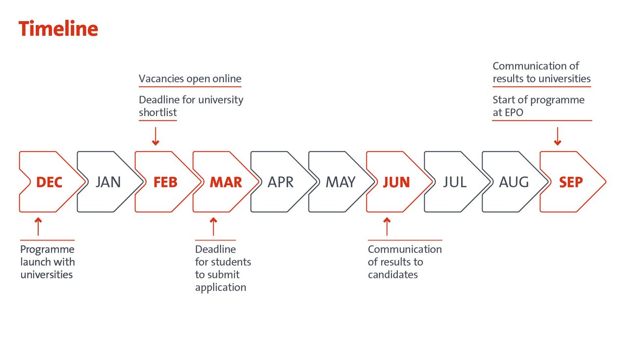 timeline