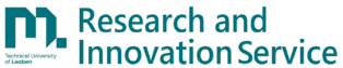 logo_RIS_RGB-de2